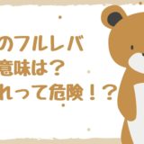 FXのフルレバの意味は？これって危険！？