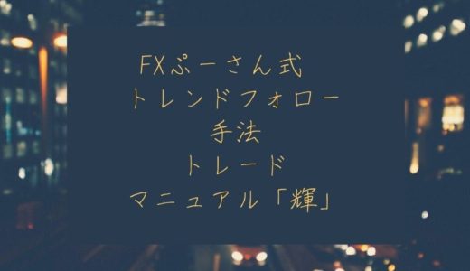 【必見！】ぷーさん式「 輝～かがやき～」レビュー！