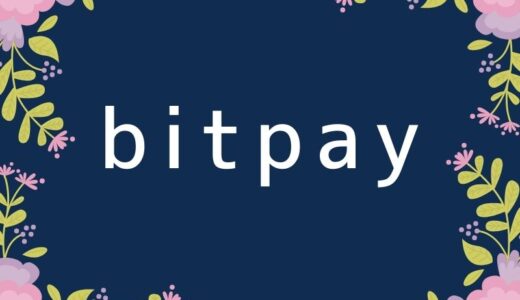 bitpay（ビットペイ）の登録方法を日本語で詳しく解説！入出金のやり方も