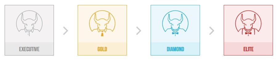 ロイヤルティポイントのステータス一覧