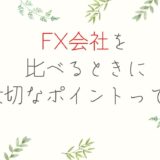 FX会社を比較するときに重視するポイント