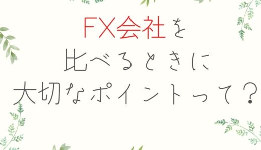 FX会社を比較するときに重視するポイントを公開！【これで失敗なし】