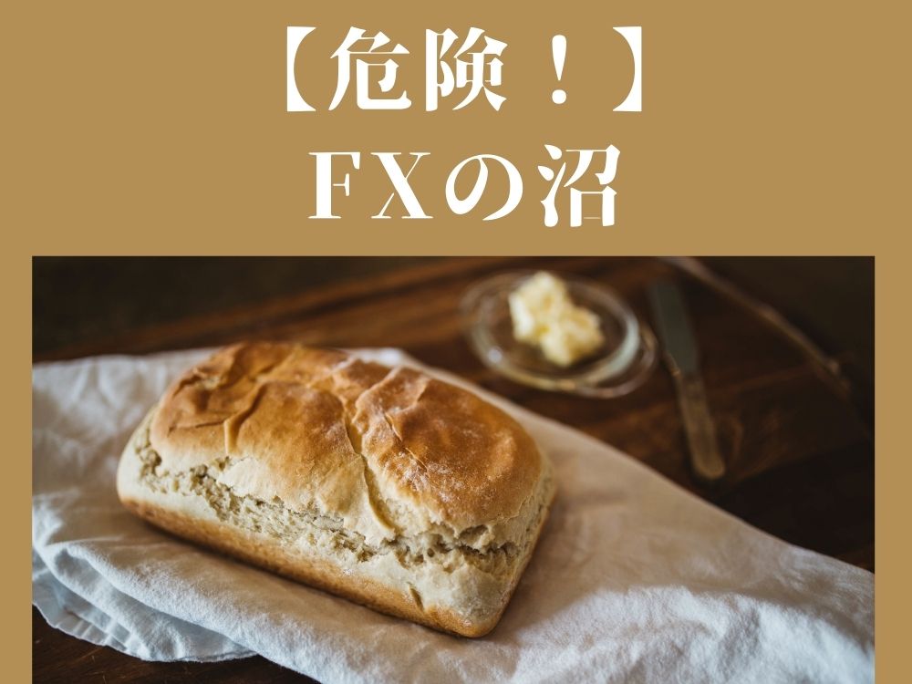 【危険！】 FXの沼