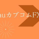 auカブコムFX