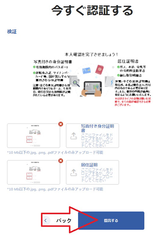 「提出する」ボタンが表示されているところ