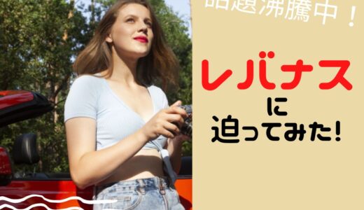 レバナスとは？最強ってホント！？暴落の危険性はあるのか？