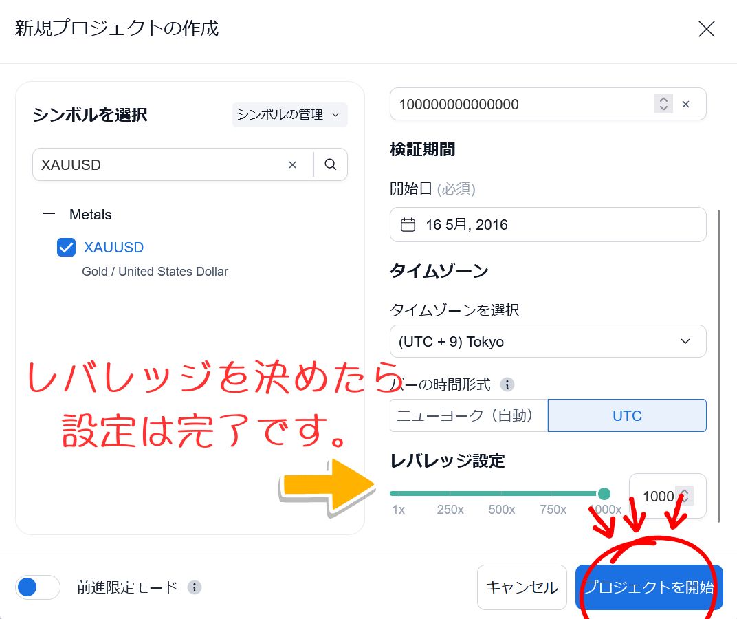 フォレックステスターオンラインでレバレッジ設定を選んでいるところ